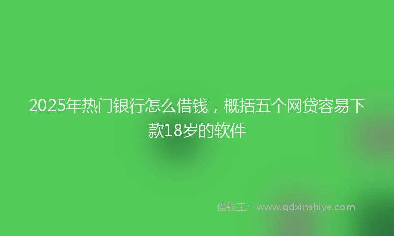 2025年热门银行怎么借钱，概括五个网贷容易下款18岁的软件