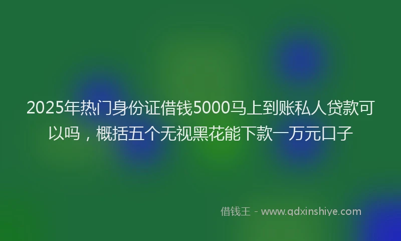 2025年热门身份证借钱5000马上到账私人贷款可以吗，概括五个无视黑花能下款一万元口子