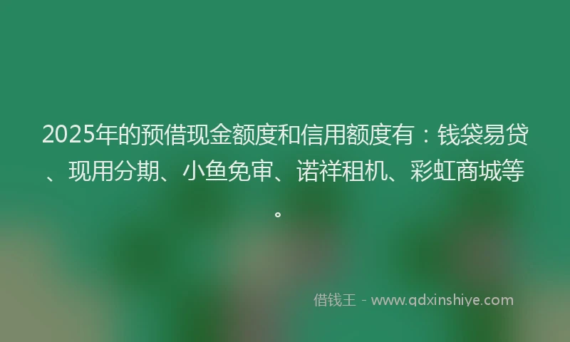 2025年的预借现金额度和信用额度有：钱袋易贷、现用分期、小鱼免审、诺祥租机、彩虹商城等。