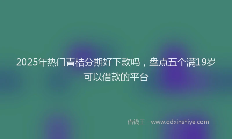 2025年热门青桔分期好下款吗，盘点五个满19岁可以借款的平台