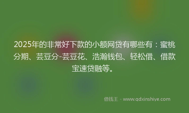 2025年的非常好下款的小额网贷有哪些有：蜜桃分期、芸豆分-芸豆花、浩瀚钱包、轻松借、借款宝速贷融等。