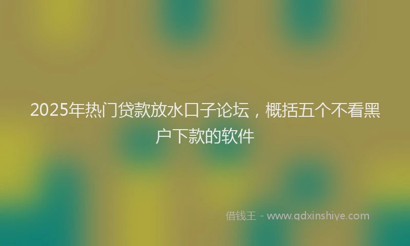 2025年热门贷款放水口子论坛，概括五个不看黑户下款的软件
