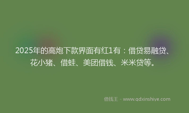 2025年的高炮下款界面有红1有：借贷易融贷、花小猪、借蛙、美团借钱、米米贷等。