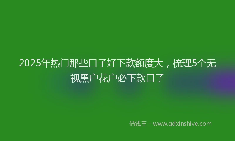 2025年热门那些口子好下款额度大，梳理5个无视黑户花户必下款口子