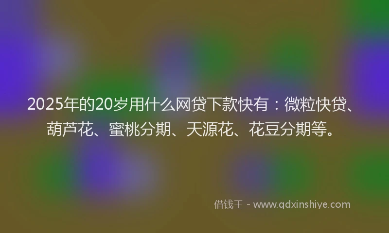 2025年的20岁用什么网贷下款快有：微粒快贷、葫芦花、蜜桃分期、天源花、花豆分期等。