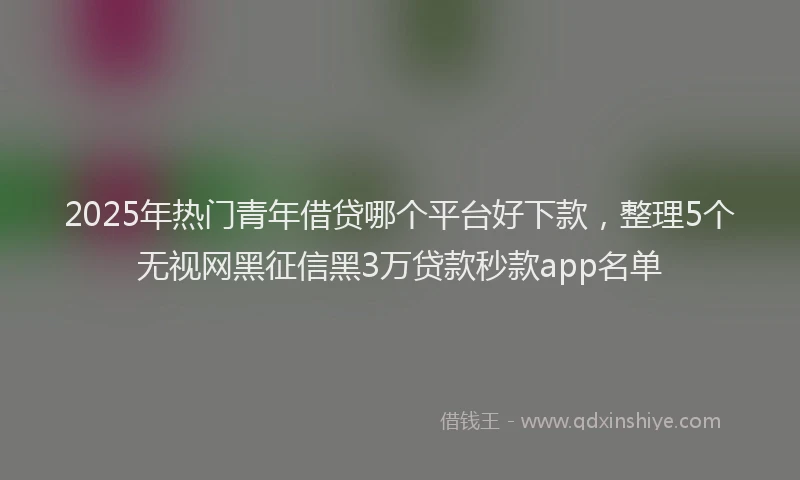2025年热门青年借贷哪个平台好下款，整理5个无视网黑征信黑3万贷款秒款app名单