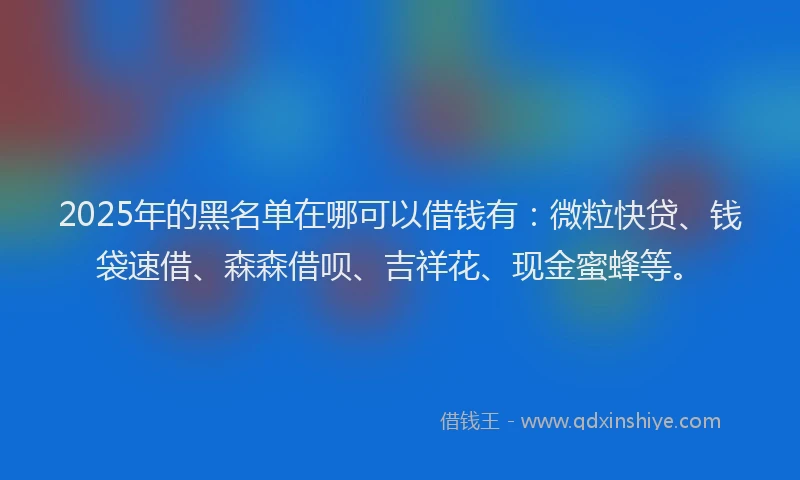 2025年的黑名单在哪可以借钱有：微粒快贷、钱袋速借、森森借呗、吉祥花、现金蜜蜂等。