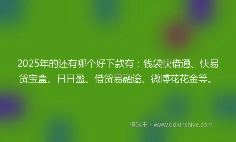 2025年的还有哪个好下款有：钱袋快借通、快易贷宝盒、日日盈、借贷易融途、微博花花金等。