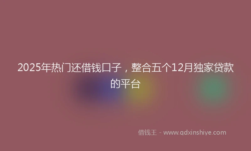 2025年热门还借钱口子，整合五个12月独家贷款的平台