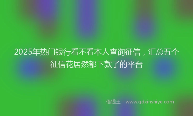 2025年热门银行看不看本人查询征信，汇总五个征信花居然都下款了的平台