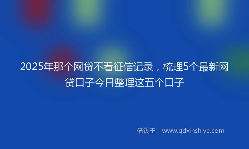 2025年那个网贷不看征信记录，梳理5个最新网贷口子今日整理这五个口子