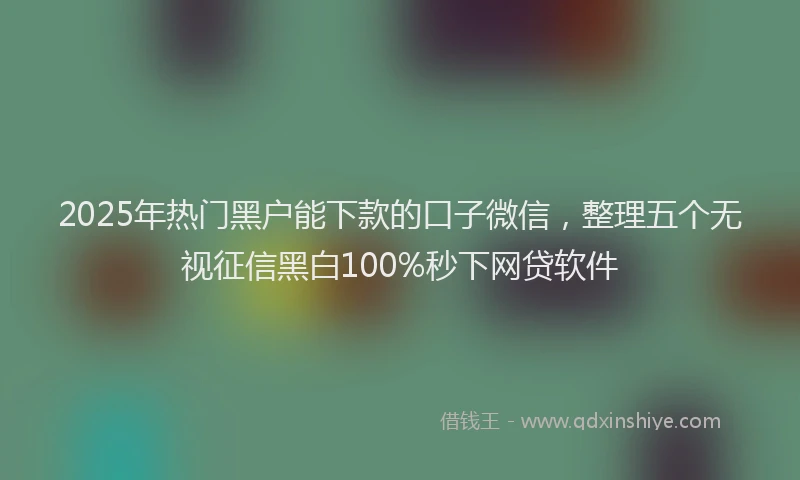 2025年热门黑户能下款的口子微信，整理五个无视征信黑白100%秒下网贷软件
