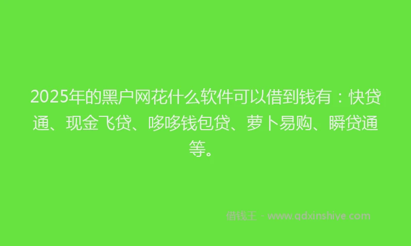 2025年的黑户网花什么软件可以借到钱有：快贷通、现金飞贷、哆哆钱包贷、萝卜易购、瞬贷通等。