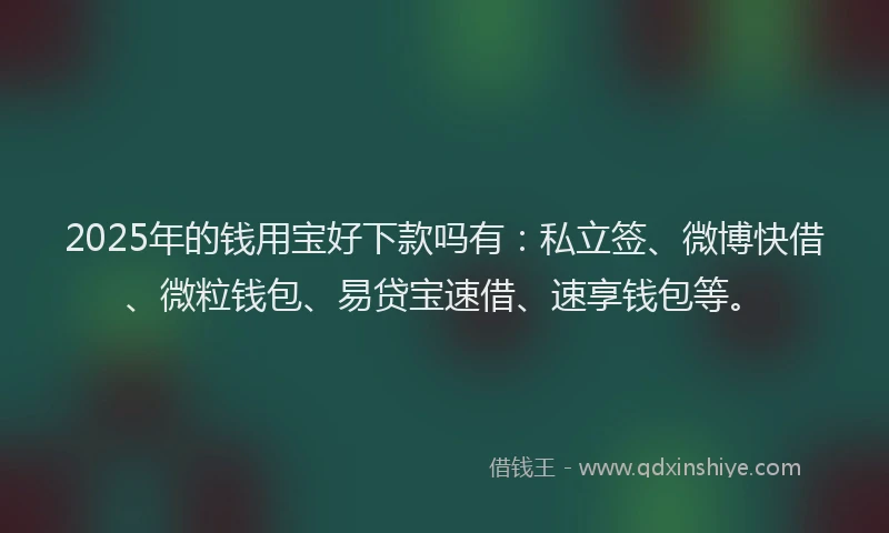 2025年的钱用宝好下款吗有：私立签、微博快借、微粒钱包、易贷宝速借、速享钱包等。