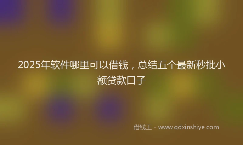 2025年软件哪里可以借钱，总结五个最新秒批小额贷款口子