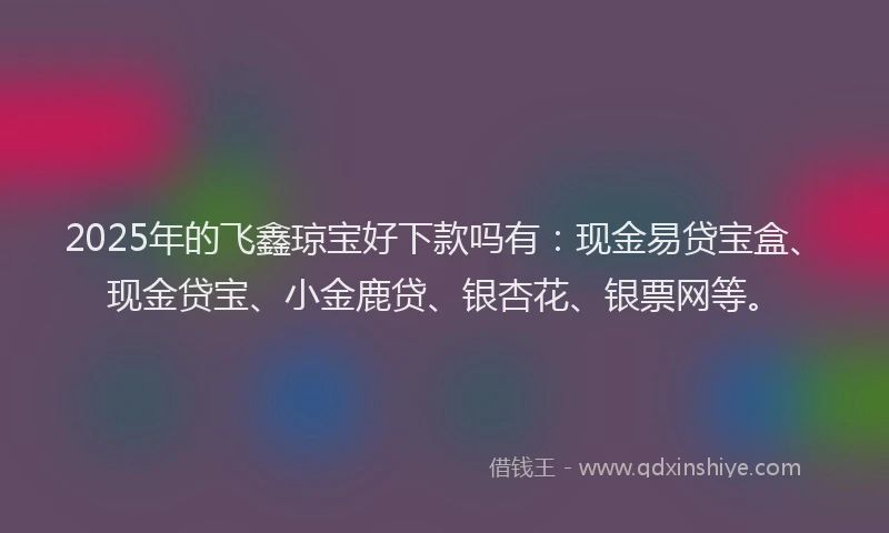 2025年的飞鑫琼宝好下款吗有：现金易贷宝盒、现金贷宝、小金鹿贷、银杏花、银票网等。