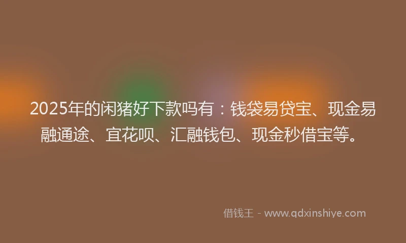 2025年的闲猪好下款吗有：钱袋易贷宝、现金易融通途、宜花呗、汇融钱包、现金秒借宝等。