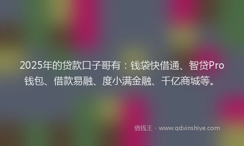 2025年的贷款口子哥有：钱袋快借通、智贷Pro钱包、借款易融、度小满金融、千亿商城等。