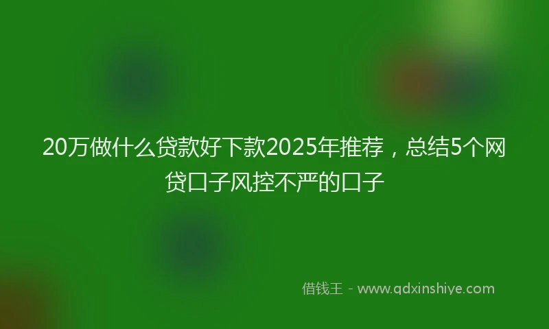 20万做什么贷款好下款2025年推荐，总结5个网贷口子风控不严的口子