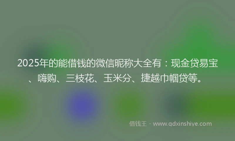 2025年的能借钱的微信昵称大全有：现金贷易宝、嗨购、三枝花、玉米分、捷越巾帼贷等。