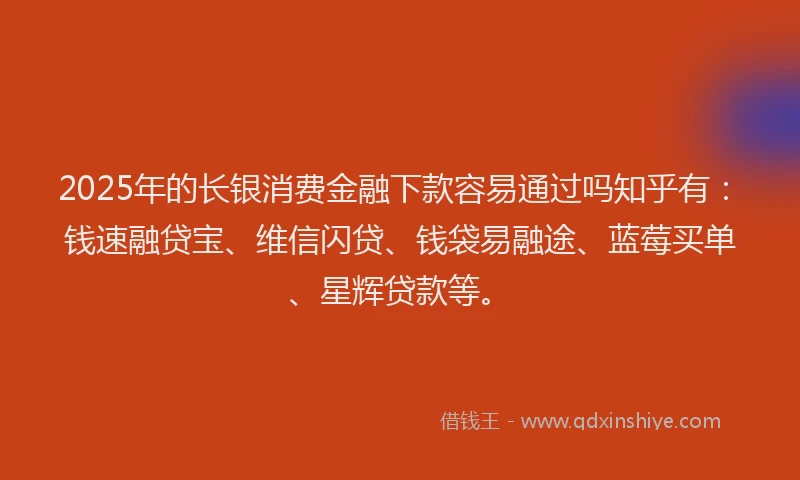 2025年的长银消费金融下款容易通过吗知乎有：钱速融贷宝、维信闪贷、钱袋易融途、蓝莓买单、星辉贷款等。