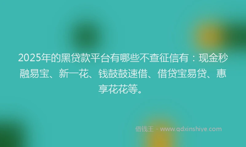 2025年的黑贷款平台有哪些不查征信有：现金秒融易宝、新一花、钱鼓鼓速借、借贷宝易贷、惠享花花等。