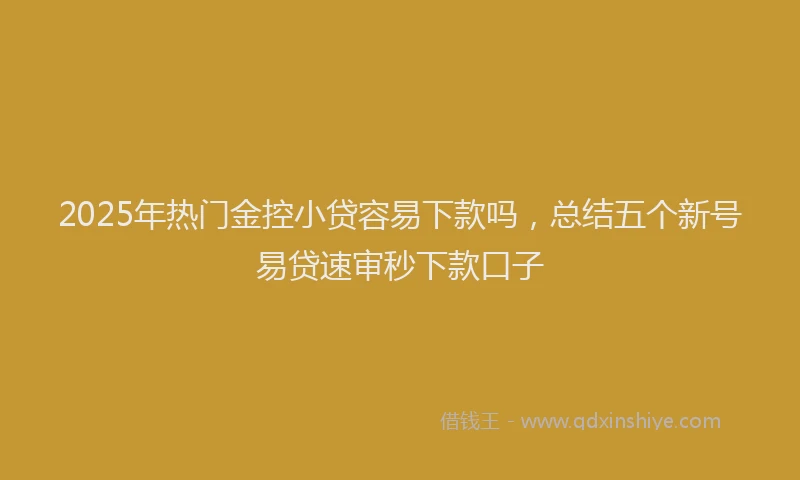 2025年热门金控小贷容易下款吗，总结五个新号易贷速审秒下款口子