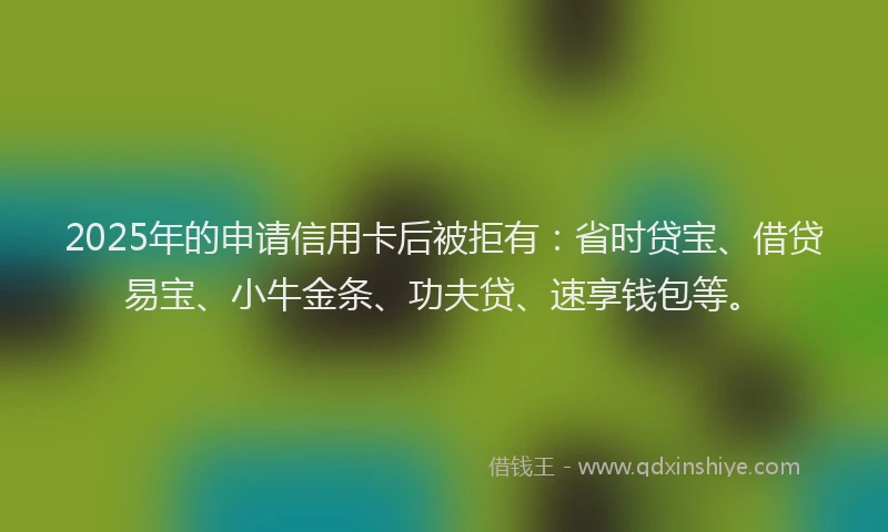 2025年的申请信用卡后被拒有：省时贷宝、借贷易宝、小牛金条、功夫贷、速享钱包等。