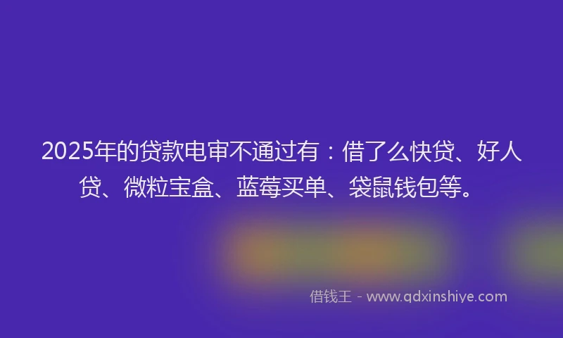 2025年的贷款电审不通过有：借了么快贷、好人贷、微粒宝盒、蓝莓买单、袋鼠钱包等。