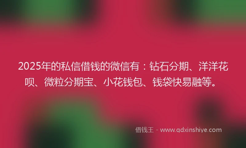 2025年的私信借钱的微信有：钻石分期、洋洋花呗、微粒分期宝、小花钱包、钱袋快易融等。