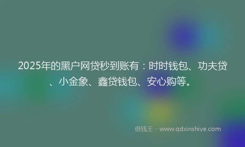 2025年的黑户网贷秒到账有：时时钱包、功夫贷、小金象、鑫贷钱包、安心购等。