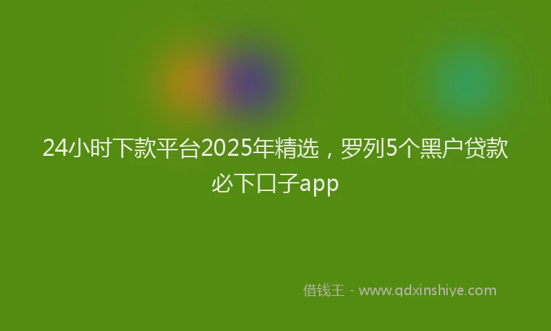 24小时下款平台2025年精选，罗列5个黑户贷款必下口子app