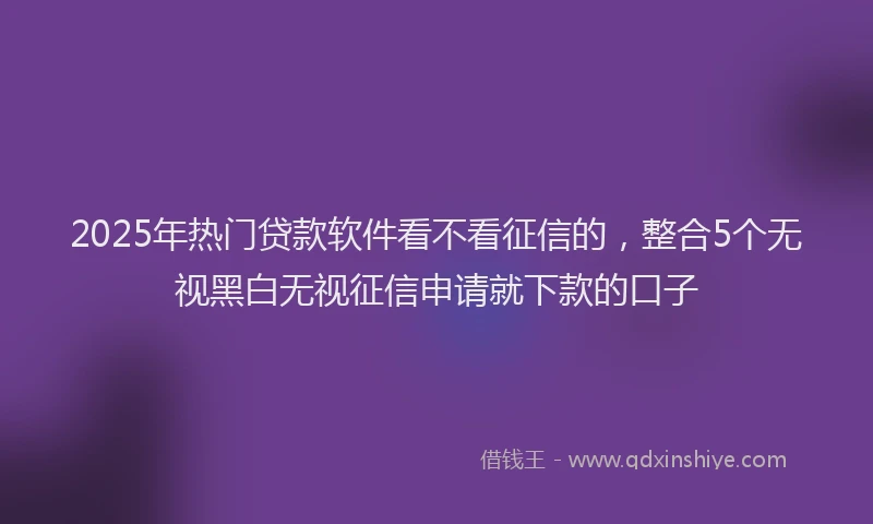 2025年热门贷款软件看不看征信的，整合5个无视黑白无视征信申请就下款的口子
