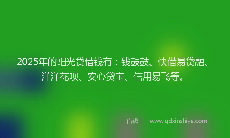 2025年的阳光贷借钱有：钱鼓鼓、快借易贷融、洋洋花呗、安心贷宝、信用易飞等。