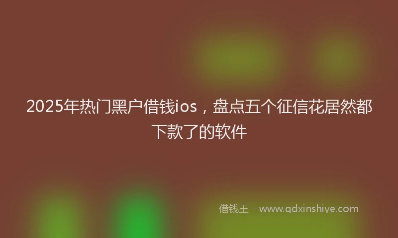 2025年热门黑户借钱ios，盘点五个征信花居然都下款了的软件