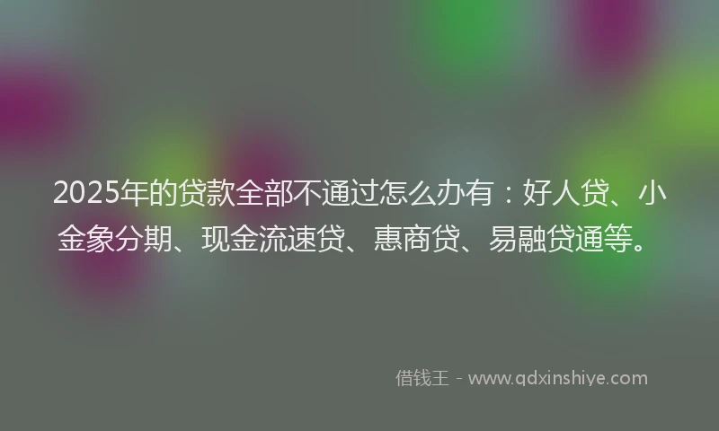 2025年的贷款全部不通过怎么办有：好人贷、小金象分期、现金流速贷、惠商贷、易融贷通等。