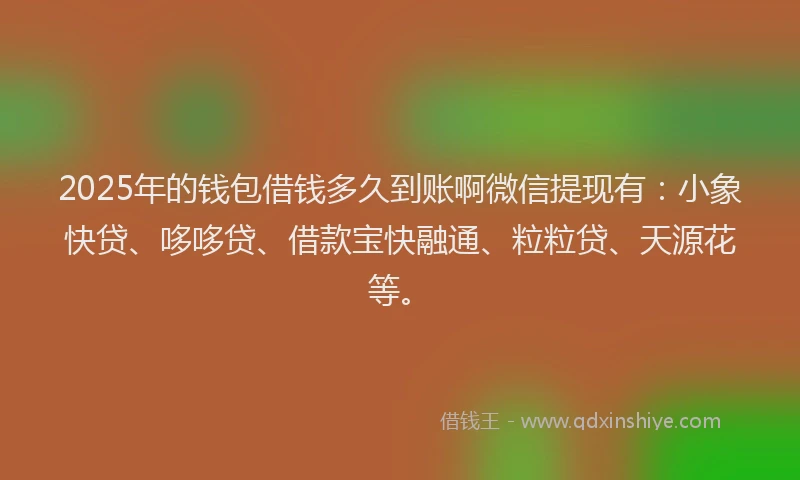 2025年的钱包借钱多久到账啊微信提现有：小象快贷、哆哆贷、借款宝快融通、粒粒贷、天源花等。