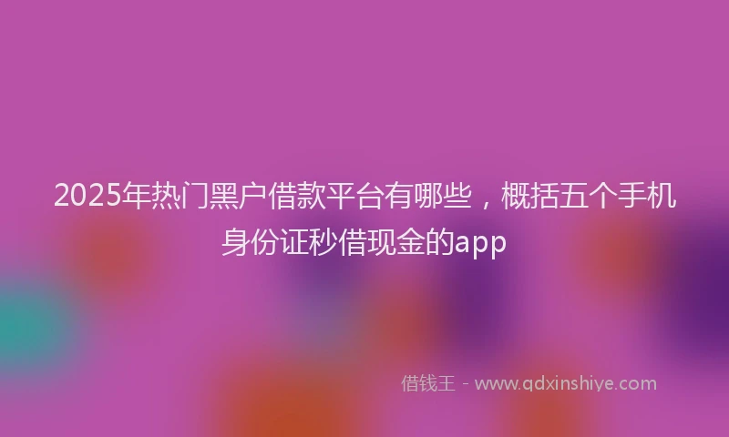 2025年热门黑户借款平台有哪些，概括五个手机身份证秒借现金的app