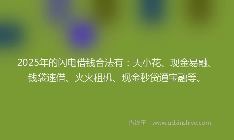 2025年的闪电借钱合法有：天小花、现金易融、钱袋速借、火火租机、现金秒贷通宝融等。