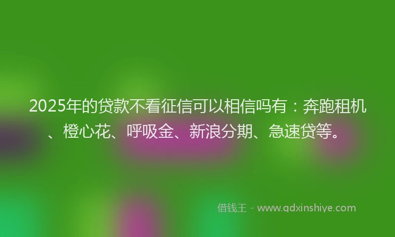 2025年的贷款不看征信可以相信吗有：奔跑租机、橙心花、呼吸金、新浪分期、急速贷等。