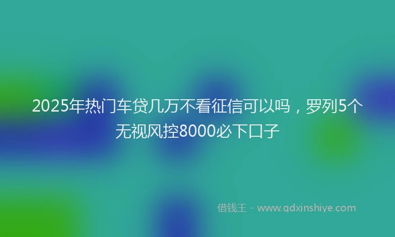 2025年热门车贷几万不看征信可以吗，罗列5个无视风控8000必下口子