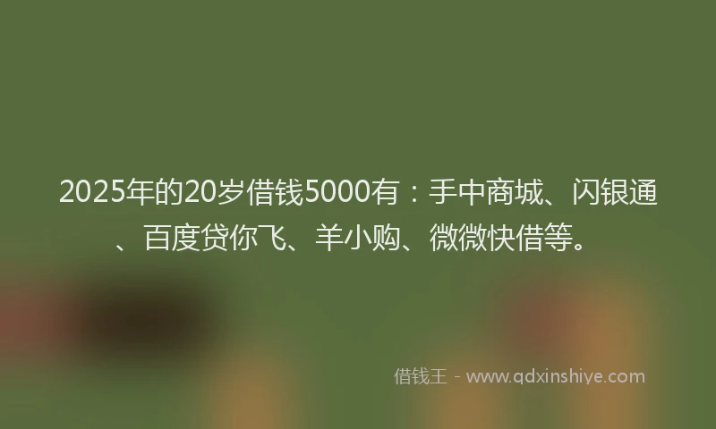 2025年的20岁借钱5000有：手中商城、闪银通、百度贷你飞、羊小购、微微快借等。