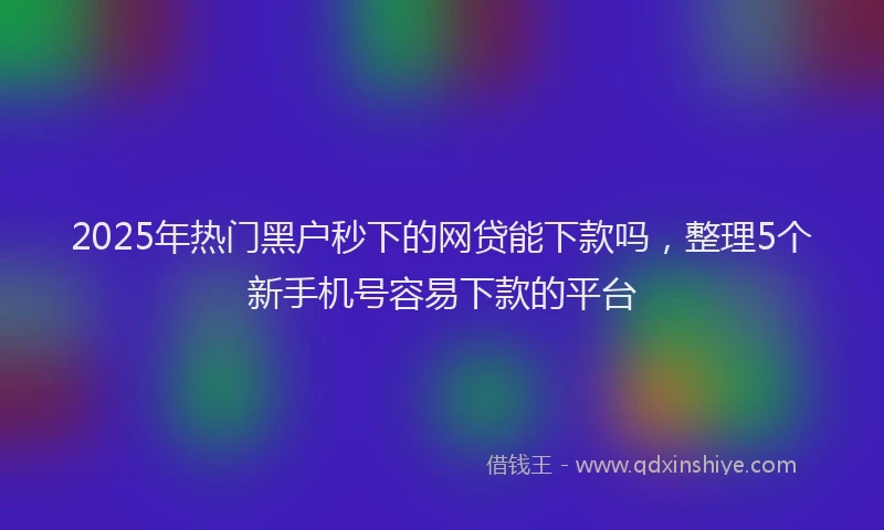 2025年热门黑户秒下的网贷能下款吗，整理5个新手机号容易下款的平台
