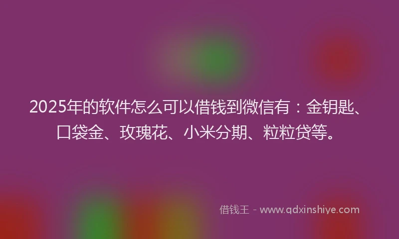 2025年的软件怎么可以借钱到微信有：金钥匙、口袋金、玫瑰花、小米分期、粒粒贷等。