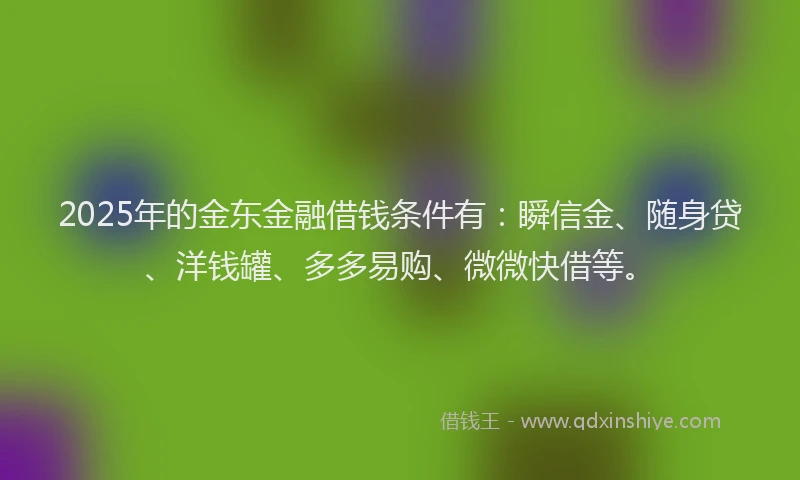 2025年的金东金融借钱条件有：瞬信金、随身贷、洋钱罐、多多易购、微微快借等。
