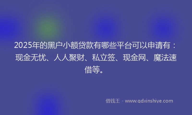2025年的黑户小额贷款有哪些平台可以申请有：现金无忧、人人聚财、私立签、现金网、魔法速借等。