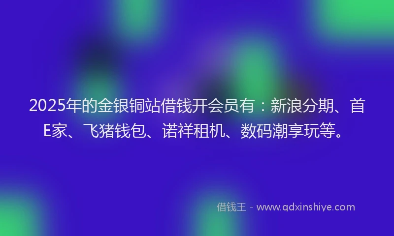 2025年的金银铜站借钱开会员有：新浪分期、首E家、飞猪钱包、诺祥租机、数码潮享玩等。