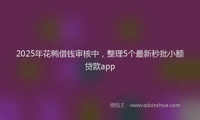 2025年花鸭借钱审核中，整理5个最新秒批小额贷款app