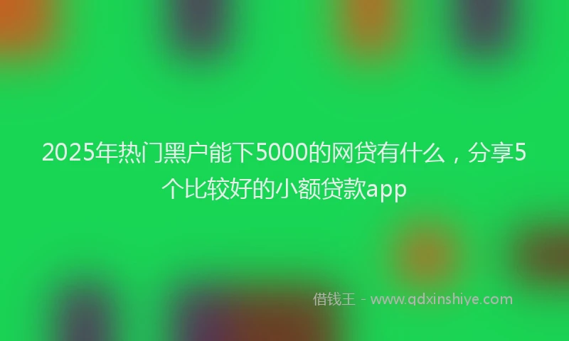 2025年热门黑户能下5000的网贷有什么，分享5个比较好的小额贷款app