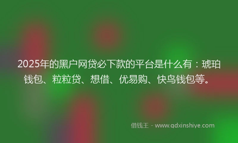 2025年的黑户网贷必下款的平台是什么有：琥珀钱包、粒粒贷、想借、优易购、快鸟钱包等。